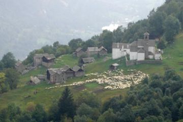 Gregge